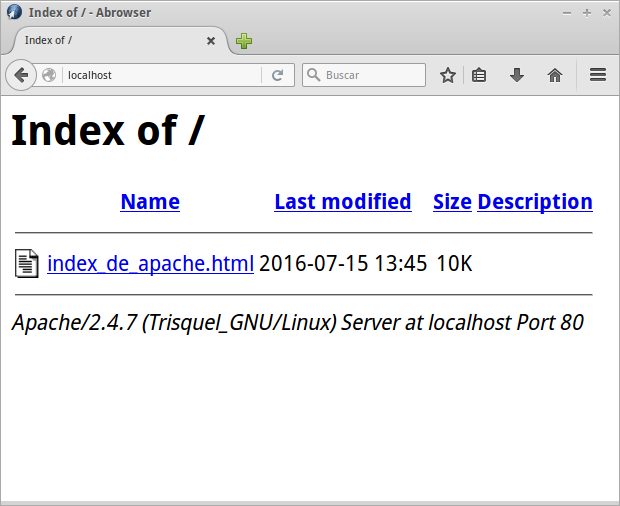 Se verá algo como esto cuando estemos en localhost